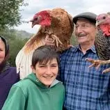 ببینید| غذای روستایی در آذربایجان؛ پخت شاورما بوقلمون در روستایی زیبا