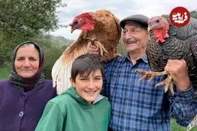 ببینید| غذای روستایی در آذربایجان؛ پخت شاورما بوقلمون در روستایی زیبا