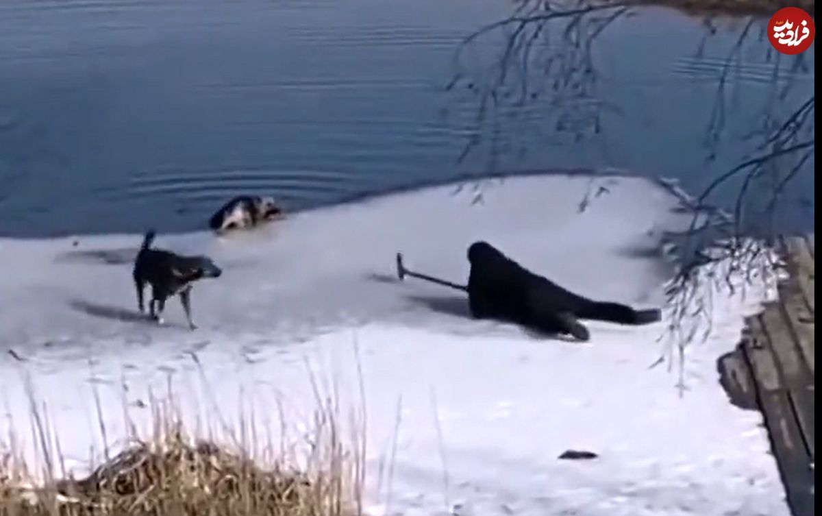 (ویدئو) لحظه نجات سگ از دریاچه یخ‌زده با بیل