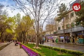 عکس| سفر به ایران قدیم؛ عبور یک مرد و الاغ‌هایش از خیابانی در اصفهان در دوران قاجار