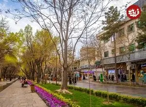 عکس| سفر به ایران قدیم؛ عبور یک مرد و الاغ‌هایش از خیابانی در اصفهان در دوران قاجار