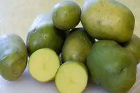 سیب زمینی‌هایی که مرگبارند