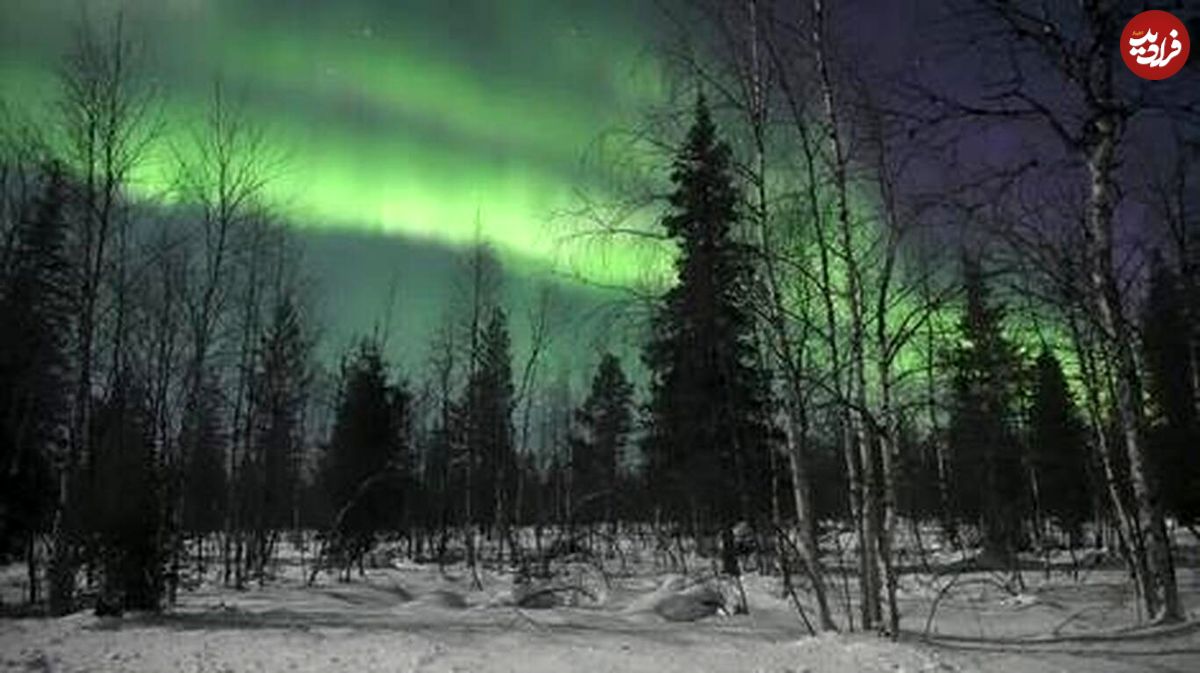 (ویدئو) نور‌های خیره کننده در آسمان فنلاند؛ شفق قطبی در زیباترین شکل خودش