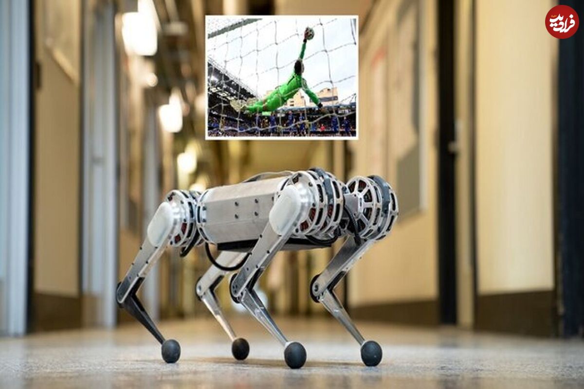 سگ رباتیکی که از دروازبانان لیگ برتر بهتر است!