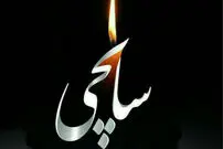 تو را می‌سپارم به دامان دریا