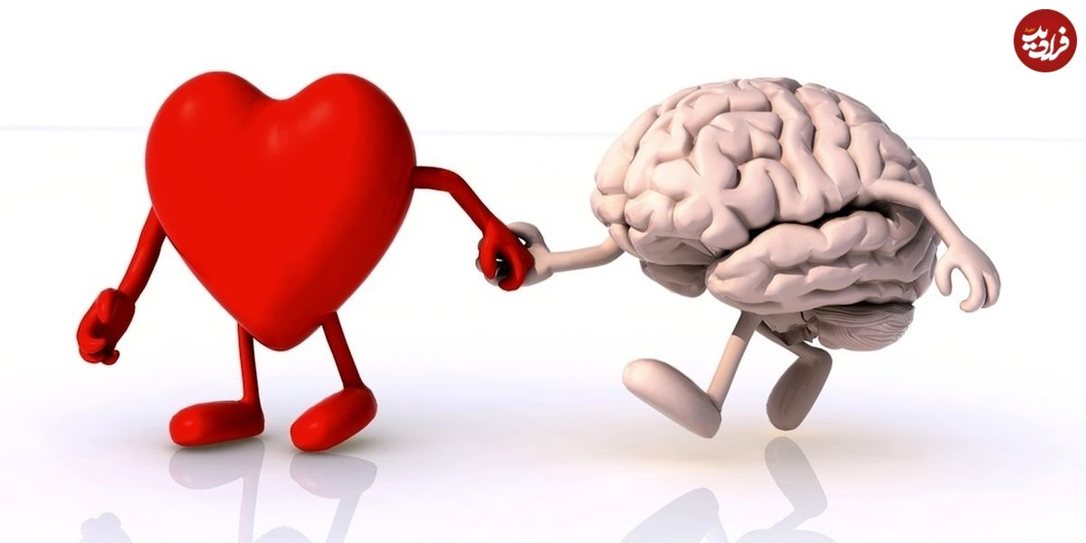 پاسخ متفاوت؛ از دل پیروی کنیم یا مغز؟