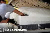 (ویدئو) فرآیند دیدنی تولید تشک لاتکس از صمغ درخت کائوچو