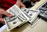 رشد متوالی قیمت دلار و سکه