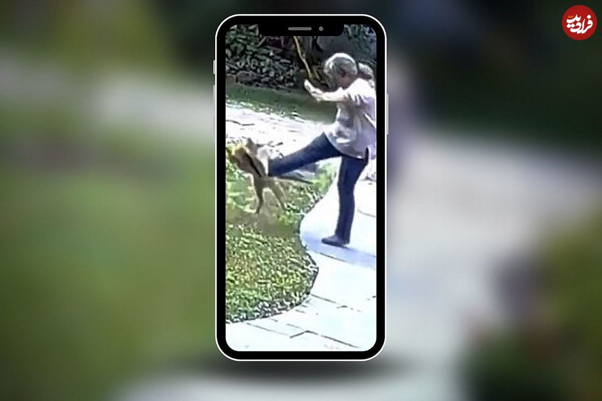 (ویدیو) حمله هولناک روباه به یک زن در حیاط خانه اش