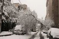 دوباره بحران داریم!