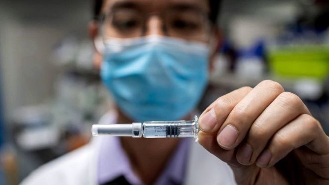 آزمایش موفق واکسن کرونا روی میمون‌های رزوس