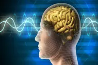 یادگیری زبان خارجی در خواب