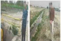 جنایت برای زمین یک میلیاردی