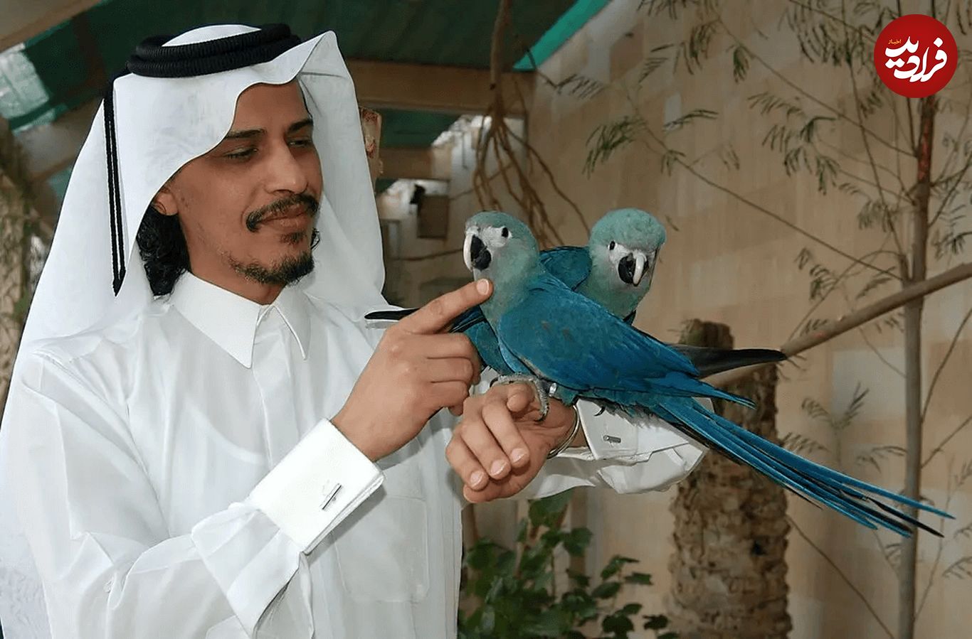 (تصاویر) قطر چه حیواناتی دارد؟