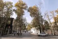 آیا در محله اعیانی نشین زعفرانیه، زعفران کشت می‌شد؟