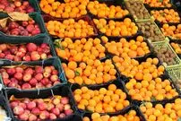 میوه شب عید به مراکز استان‌ها ارسال شد