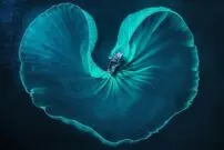 تصاویری حیرت انگیز از مسابقه عکاسی جزایر قناری