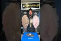 ببینید| غذای خیابانی در ایران؛ تهیه برگر با ماهی توسط آشپز مشهور