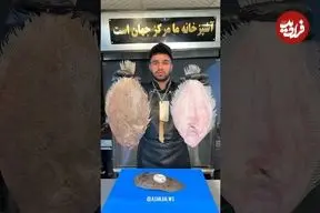 ببینید| غذای خیابانی در ایران؛ تهیه برگر با ماهی توسط آشپز مشهور
