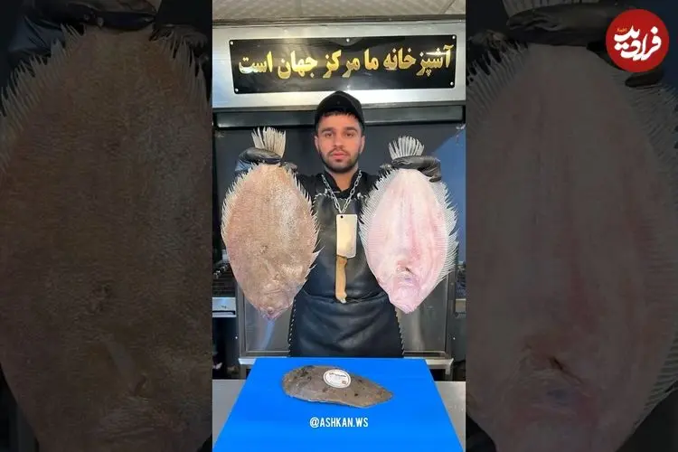 ببینید| غذای خیابانی در ایران؛ تهیه برگر با ماهی توسط آشپز مشهور