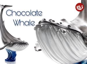 ببینید| فرآیند ساخت یک نهنگ شگفت انگیز با 40 کیلو شکلات در 4 روز