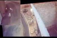 ببینید؛ لحظه نجات معجزه‌آسای دختر دانش‌آموز از حمله سگ‌های ولگرد!