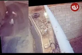 ببینید؛ لحظه نجات معجزه‌آسای دختر دانش‌آموز از حمله سگ‌های ولگرد!