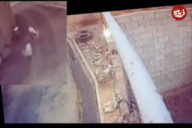 ببینید؛ لحظه نجات معجزه‌آسای دختر دانش‌آموز از حمله سگ‌های ولگرد!