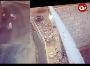 ببینید؛ لحظه نجات معجزه‌آسای دختر دانش‌آموز از حمله سگ‌های ولگرد!