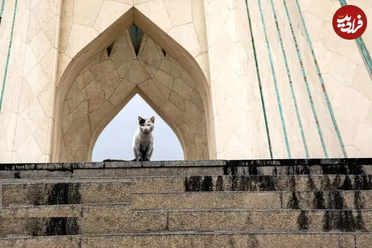 تصاویر| تهران در دود