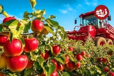 ببینید؛ مراحل کاشت، برداشت و فرآوری هزاران تن سیب و تولید آبمیوه در نیوزیلند
