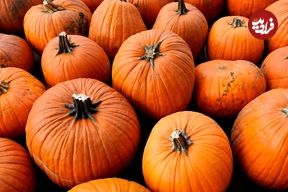 خواص شگفت‌انگیز «کدوحلوایی» و روش‌های مصرف آن