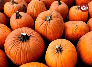 خواص شگفتانگیز «کدوحلوایی» و روشهای مصرف آن