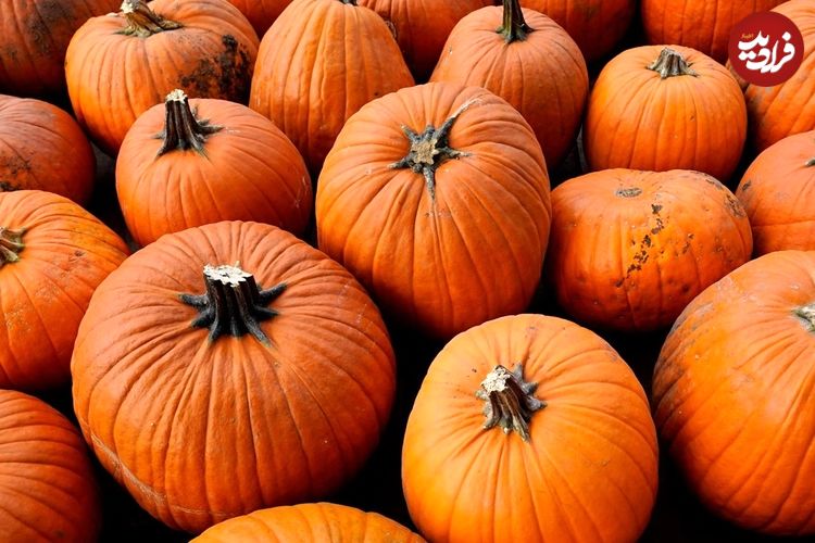 خواص شگفت‌انگیز «کدوحلوایی» و روش‌های مصرف آن