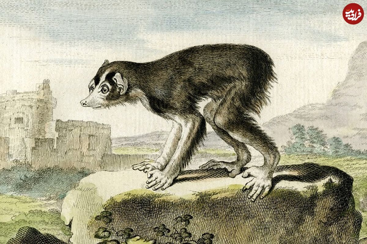 کتابی که صد سال قبل از داروین نظریۀ «تکامل جانوران» را مطرح کرد