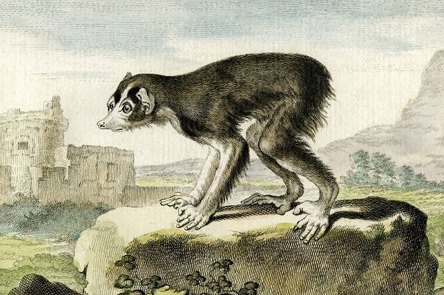 کتابی که صد سال قبل از داروین نظریۀ «تکامل جانوران» را مطرح کرد