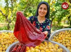 ببینید| غذای روستایی در ایران؛ برداشت 300 کیلوگرم آلو و تهیه لواشک با آن ها