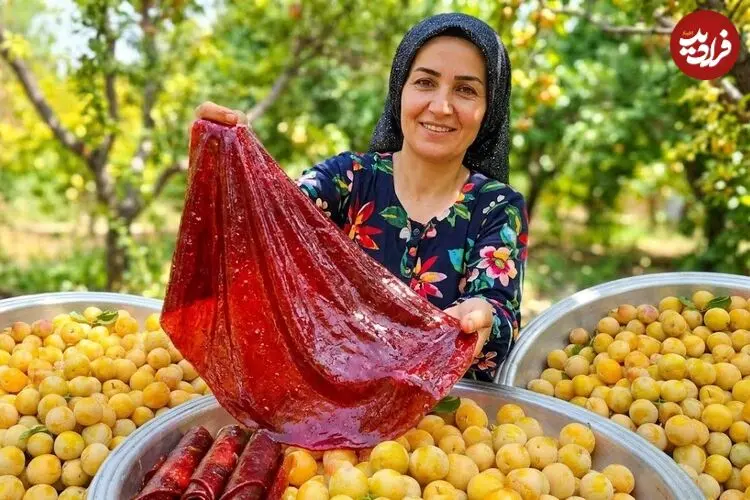 ببینید| غذای روستایی در ایران؛ برداشت 300 کیلوگرم آلو و تهیه لواشک با آن ها