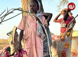 فاجعه در سودان: اعدام‌های دسته‌جمعی و تجاوز؛ سازمان ملل: با سقوط شهر فاشر، ۶۰ هزار نفر گریخته‌اند