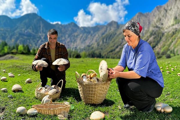 ببینید؛ غذای روستایی در آذربایجان؛ برداشت قارچ های وحشی کوهستان و پخت غذای سنتی با آ نها