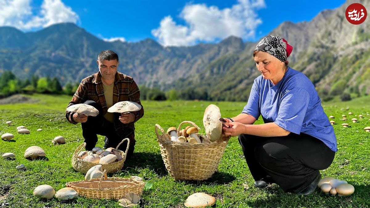 ببینید؛ غذای روستایی در آذربایجان؛ برداشت قارچ های وحشی کوهستان و پخت غذای سنتی با آ نها
