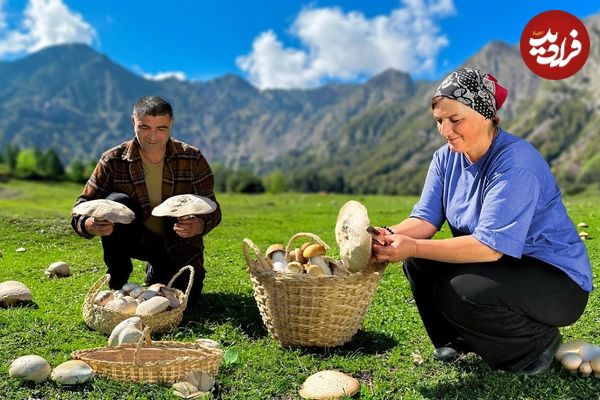 ببینید؛ غذای روستایی در آذربایجان؛ برداشت قارچ های وحشی کوهستان و پخت غذای سنتی با آ نها