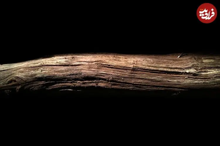 این تکه چوب 430 هزار سال قبل به دست انسان تراشیده شده است