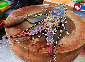 ببینید؛ غذای خیابانی در تایوان؛ پخت غذا با خرچنگ رنگین کمانی در تایپه