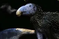 عکس| کشف هیولای خاردار ۱۲۵ میلیون ساله در چین