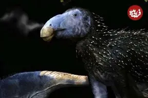 عکس| کشف هیولای خاردار ۱۲۵ میلیون ساله در چین