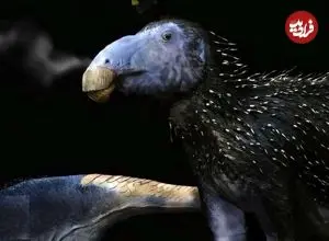 عکس| کشف هیولای خاردار ۱۲۵ میلیون ساله در چین