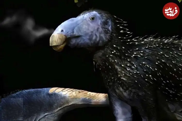 عکس| کشف هیولای خاردار ۱۲۵ میلیون ساله در چین