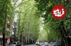عکس؛ سفر در زمان؛ یکی از قدیمی‌ترین تصاویر رنگی موجود از تهران ولیعصر در دهه ۴۰