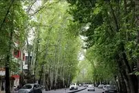 عکس؛ سفر در زمان؛ یکی از قدیمی‌ترین تصاویر رنگی موجود از تهران ولیعصر در دهه ۴۰